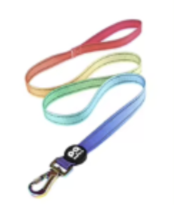 MULTICOLOR LEASH