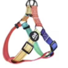 MULTICOLOR HARNESS